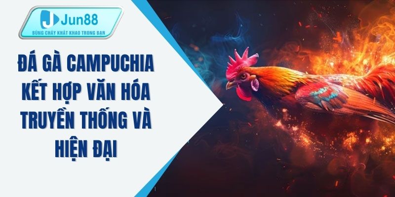 Đá gà Campuchia